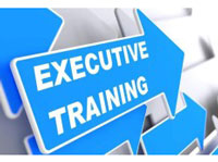Windows Tablet - Executive Tailored One-on-One Training